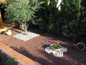 צל%20ברושים%20,%20חצור%20הגלילית